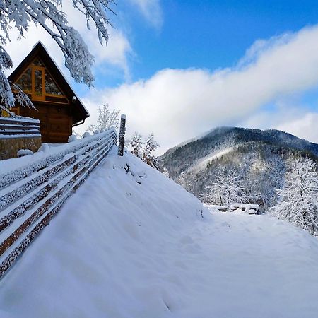 Drvene Kuce Suska - Wooden Houses Suska Zaovine 외부 사진