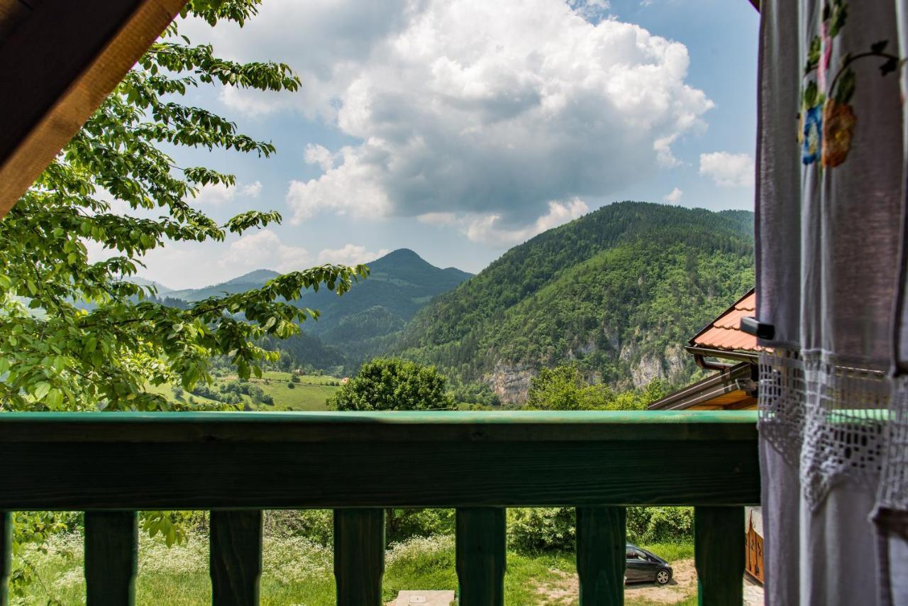 Drvene Kuce Suska - Wooden Houses Suska Zaovine 외부 사진