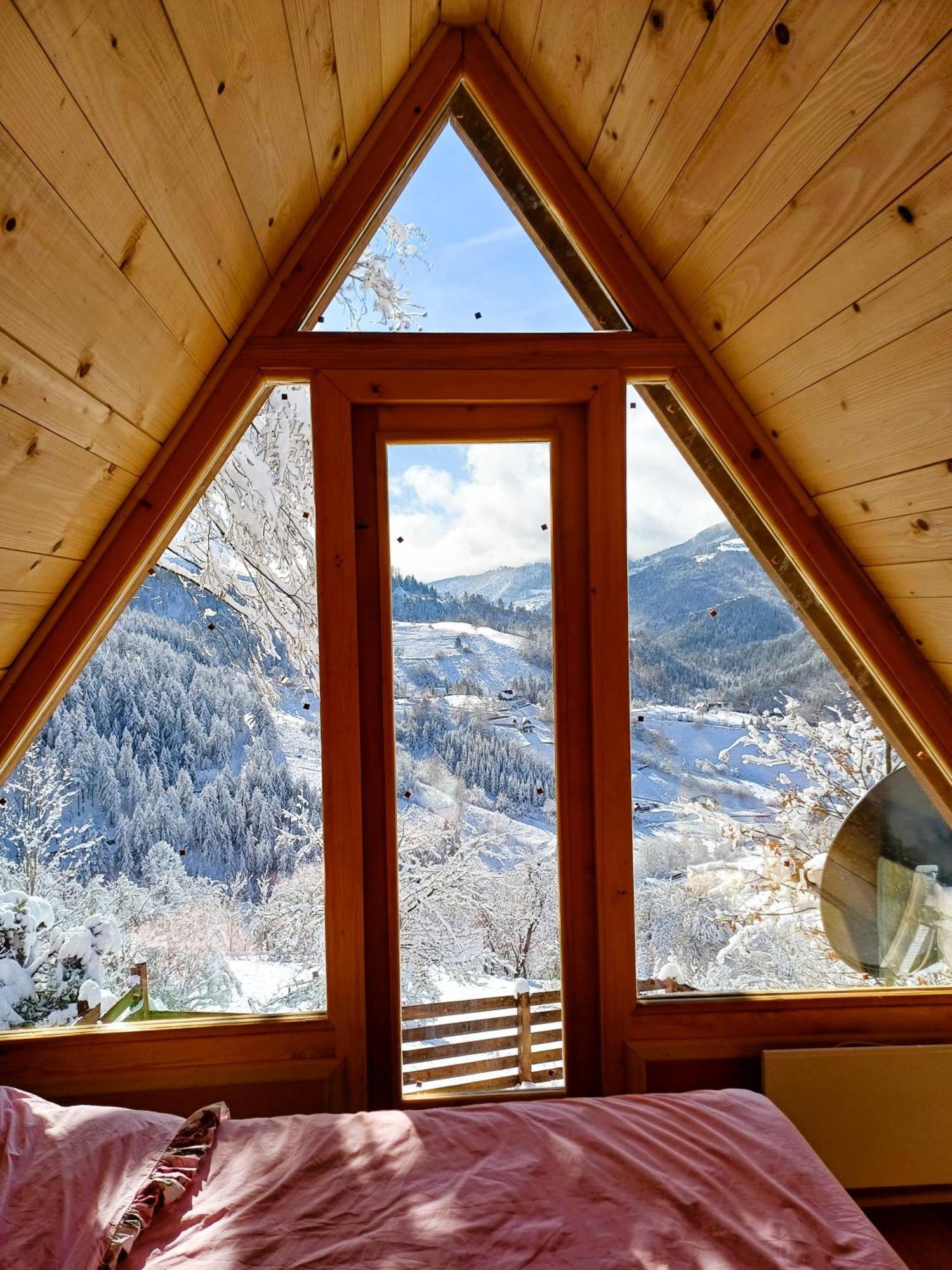 Drvene Kuce Suska - Wooden Houses Suska Zaovine 외부 사진